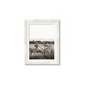 Picture of Bicycle Basket _GroupedProduct_Rectangle_Portrait_Photography _GroupedProduct_Rectangle_Portrait_Framed_Matted_