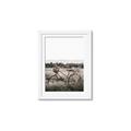 Picture of Bicycle Basket _GroupedProduct_Rectangle_Portrait_Photography _GroupedProduct_Rectangle_Portrait_Framed_Matted_