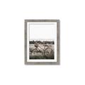 Picture of Bicycle Basket _GroupedProduct_Rectangle_Portrait_Photography _GroupedProduct_Rectangle_Portrait_Framed_Matted_