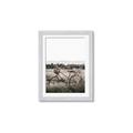 Picture of Bicycle Basket _GroupedProduct_Rectangle_Portrait_Photography _GroupedProduct_Rectangle_Portrait_Framed_Matted_