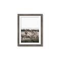 Picture of Bicycle Basket _GroupedProduct_Rectangle_Portrait_Photography _GroupedProduct_Rectangle_Portrait_Framed_Matted_