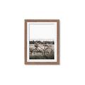 Picture of Bicycle Basket _GroupedProduct_Rectangle_Portrait_Photography _GroupedProduct_Rectangle_Portrait_Framed_Matted_