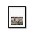 Picture of Bicycle Basket _GroupedProduct_Rectangle_Portrait_Photography _GroupedProduct_Rectangle_Portrait_Framed_Matted_