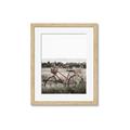 Picture of Bicycle Basket _GroupedProduct_Rectangle_Portrait_Photography _GroupedProduct_Rectangle_Portrait_Framed_Matted_