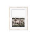 Picture of Bicycle Basket _GroupedProduct_Rectangle_Portrait_Photography _GroupedProduct_Rectangle_Portrait_Framed_Matted_