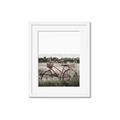 Picture of Bicycle Basket _GroupedProduct_Rectangle_Portrait_Photography _GroupedProduct_Rectangle_Portrait_Framed_Matted_