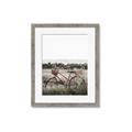 Picture of Bicycle Basket _GroupedProduct_Rectangle_Portrait_Photography _GroupedProduct_Rectangle_Portrait_Framed_Matted_