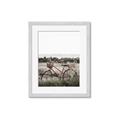 Picture of Bicycle Basket _GroupedProduct_Rectangle_Portrait_Photography _GroupedProduct_Rectangle_Portrait_Framed_Matted_