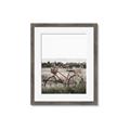Picture of Bicycle Basket _GroupedProduct_Rectangle_Portrait_Photography _GroupedProduct_Rectangle_Portrait_Framed_Matted_