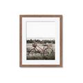 Picture of Bicycle Basket _GroupedProduct_Rectangle_Portrait_Photography _GroupedProduct_Rectangle_Portrait_Framed_Matted_