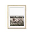 Picture of Bicycle Basket _GroupedProduct_Rectangle_Portrait_Photography _GroupedProduct_Rectangle_Portrait_Framed_Matted_