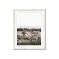Picture of Bicycle Basket _GroupedProduct_Rectangle_Portrait_Photography _GroupedProduct_Rectangle_Portrait_Framed_Matted_