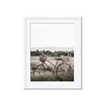 Picture of Bicycle Basket _GroupedProduct_Rectangle_Portrait_Photography _GroupedProduct_Rectangle_Portrait_Framed_Matted_