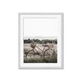 Picture of Bicycle Basket _GroupedProduct_Rectangle_Portrait_Photography _GroupedProduct_Rectangle_Portrait_Framed_Matted_