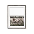 Picture of Bicycle Basket _GroupedProduct_Rectangle_Portrait_Photography _GroupedProduct_Rectangle_Portrait_Framed_Matted_