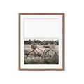 Picture of Bicycle Basket _GroupedProduct_Rectangle_Portrait_Photography _GroupedProduct_Rectangle_Portrait_Framed_Matted_