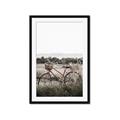 Picture of Bicycle Basket _GroupedProduct_Rectangle_Portrait_Photography _GroupedProduct_Rectangle_Portrait_Framed_Matted_