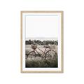 Picture of Bicycle Basket _GroupedProduct_Rectangle_Portrait_Photography _GroupedProduct_Rectangle_Portrait_Framed_Matted_