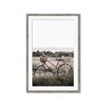 Picture of Bicycle Basket _GroupedProduct_Rectangle_Portrait_Photography _GroupedProduct_Rectangle_Portrait_Framed_Matted_