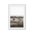 Picture of Bicycle Basket _GroupedProduct_Rectangle_Portrait_Photography _GroupedProduct_Rectangle_Portrait_Framed_Matted_