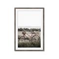 Picture of Bicycle Basket _GroupedProduct_Rectangle_Portrait_Photography _GroupedProduct_Rectangle_Portrait_Framed_Matted_