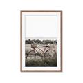 Picture of Bicycle Basket _GroupedProduct_Rectangle_Portrait_Photography _GroupedProduct_Rectangle_Portrait_Framed_Matted_