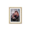 Picture of Boxing Gloves _GroupedProduct_Rectangle_Portrait_Photography _GroupedProduct_Rectangle_Portrait_Framed_Matted_