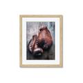 Picture of Boxing Gloves _GroupedProduct_Rectangle_Portrait_Photography _GroupedProduct_Rectangle_Portrait_Framed_Matted_