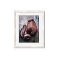 Picture of Boxing Gloves _GroupedProduct_Rectangle_Portrait_Photography _GroupedProduct_Rectangle_Portrait_Framed_Matted_