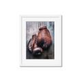 Picture of Boxing Gloves _GroupedProduct_Rectangle_Portrait_Photography _GroupedProduct_Rectangle_Portrait_Framed_Matted_