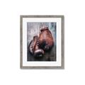 Picture of Boxing Gloves _GroupedProduct_Rectangle_Portrait_Photography _GroupedProduct_Rectangle_Portrait_Framed_Matted_