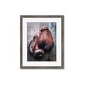 Picture of Boxing Gloves _GroupedProduct_Rectangle_Portrait_Photography _GroupedProduct_Rectangle_Portrait_Framed_Matted_