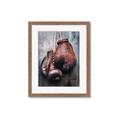 Picture of Boxing Gloves _GroupedProduct_Rectangle_Portrait_Photography _GroupedProduct_Rectangle_Portrait_Framed_Matted_