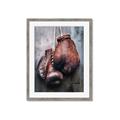Picture of Boxing Gloves _GroupedProduct_Rectangle_Portrait_Photography _GroupedProduct_Rectangle_Portrait_Framed_Matted_