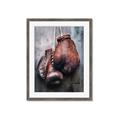 Picture of Boxing Gloves _GroupedProduct_Rectangle_Portrait_Photography _GroupedProduct_Rectangle_Portrait_Framed_Matted_