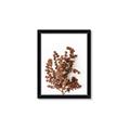 Picture of Brown Fall  _GroupedProduct_Rectangle_Portrait_Photography _GroupedProduct_Rectangle_Portrait_Framed_Matted_