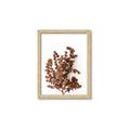 Picture of Brown Fall  _GroupedProduct_Rectangle_Portrait_Photography _GroupedProduct_Rectangle_Portrait_Framed_Matted_