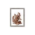 Picture of Brown Fall  _GroupedProduct_Rectangle_Portrait_Photography _GroupedProduct_Rectangle_Portrait_Framed_Matted_