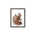 Picture of Brown Fall  _GroupedProduct_Rectangle_Portrait_Photography _GroupedProduct_Rectangle_Portrait_Framed_Matted_