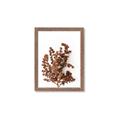 Picture of Brown Fall  _GroupedProduct_Rectangle_Portrait_Photography _GroupedProduct_Rectangle_Portrait_Framed_Matted_