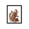 Picture of Brown Fall  _GroupedProduct_Rectangle_Portrait_Photography _GroupedProduct_Rectangle_Portrait_Framed_Matted_