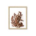 Picture of Brown Fall  _GroupedProduct_Rectangle_Portrait_Photography _GroupedProduct_Rectangle_Portrait_Framed_Matted_