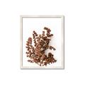 Picture of Brown Fall  _GroupedProduct_Rectangle_Portrait_Photography _GroupedProduct_Rectangle_Portrait_Framed_Matted_