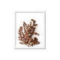 Picture of Brown Fall  _GroupedProduct_Rectangle_Portrait_Photography _GroupedProduct_Rectangle_Portrait_Framed_Matted_
