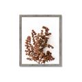 Picture of Brown Fall  _GroupedProduct_Rectangle_Portrait_Photography _GroupedProduct_Rectangle_Portrait_Framed_Matted_