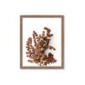 Picture of Brown Fall  _GroupedProduct_Rectangle_Portrait_Photography _GroupedProduct_Rectangle_Portrait_Framed_Matted_
