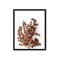 Picture of Brown Fall  _GroupedProduct_Rectangle_Portrait_Photography _GroupedProduct_Rectangle_Portrait_Framed_Matted_