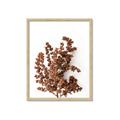 Picture of Brown Fall  _GroupedProduct_Rectangle_Portrait_Photography _GroupedProduct_Rectangle_Portrait_Framed_Matted_