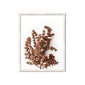 Picture of Brown Fall  _GroupedProduct_Rectangle_Portrait_Photography _GroupedProduct_Rectangle_Portrait_Framed_Matted_