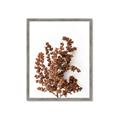Picture of Brown Fall  _GroupedProduct_Rectangle_Portrait_Photography _GroupedProduct_Rectangle_Portrait_Framed_Matted_
